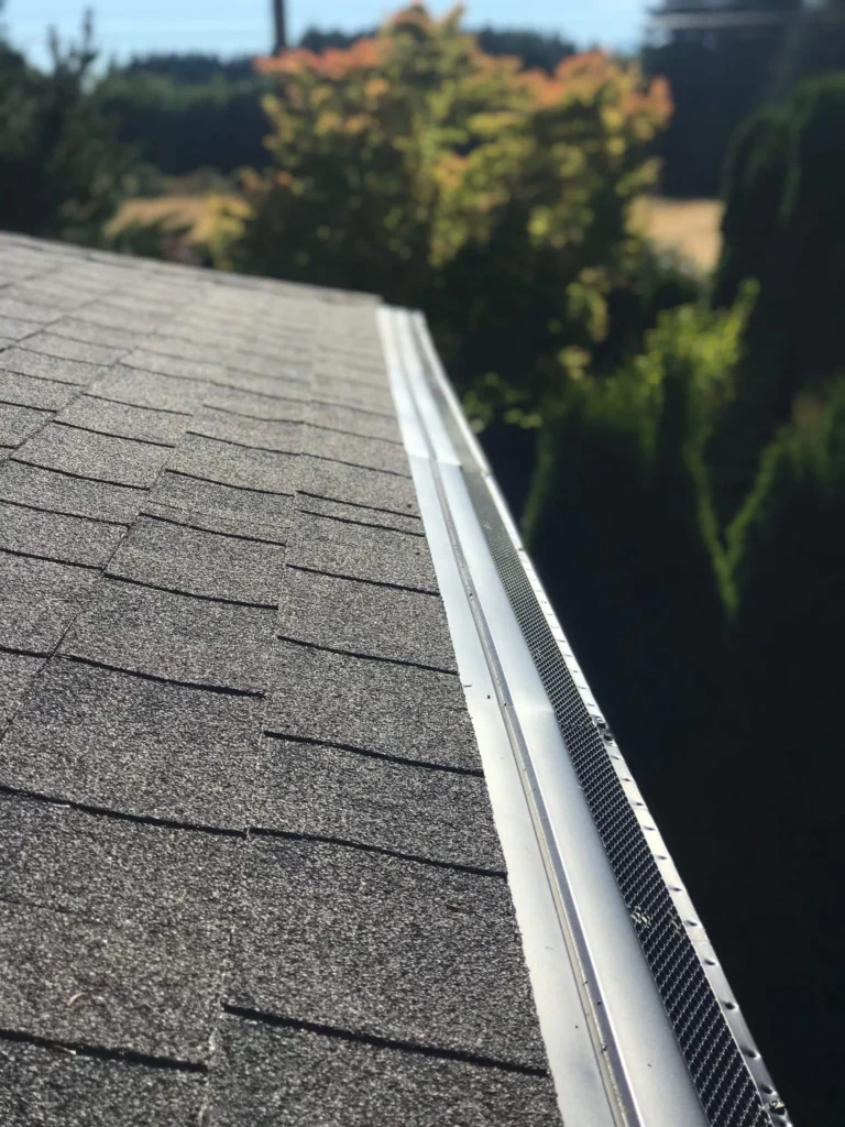 a roof of a house with a gutter