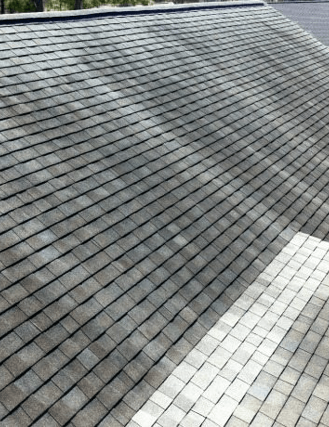 Shingled Roof of a house