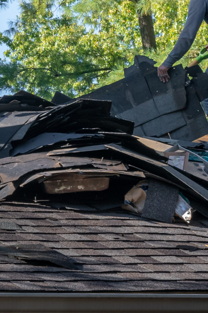 a person holding a pile of shingles